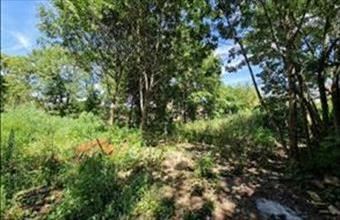 Eladó Szegedi egyéb telek hirdetés (65533463)