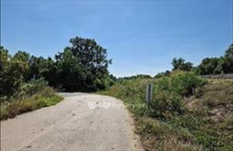 Eladó Hódmezővásárhelyi egyéb telek hirdetés (73536713)