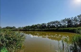 Eladó Ruzsai egyéb mezőgazdasági ingatlan hirdetés (42333374)