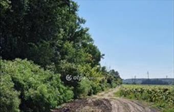 Eladó Hódmezővásárhelyi egyéb telek hirdetés (72922734)