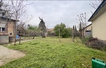 Eladó Dunaharaszti családi ház hirdetés (33537775)