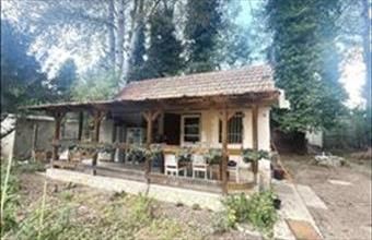 Eladó Dömsödi hétvégi ház hirdetés (32488521)