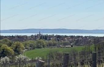 Eladó Balatoncsicsói egyéb mezőgazdasági ingatlan hirdetés (22358994)