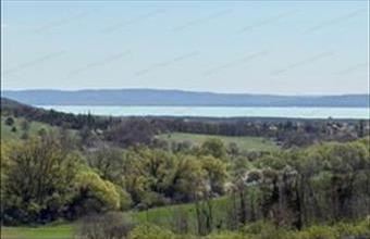 Eladó Balatoncsicsói egyéb mezőgazdasági ingatlan hirdetés (32537317)