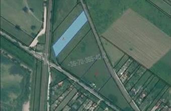 Eladó Váci egyéb telek hirdetés (15754225)