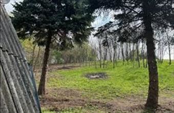 Eladó Homokkomáromi hétvégi ház hirdetés (36577617)