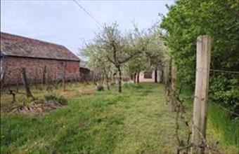 Eladó Vasvári lakóövezeti telek hirdetés (29483924)