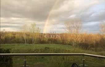 Eladó Budapest XVI. kerületi családi ház hirdetés (97195624)