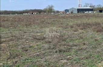 Eladó Ballószögi telephely hirdetés (78532473)