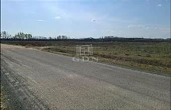 Eladó Ballószögi telephely hirdetés (23273372)