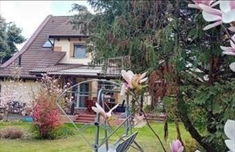 Eladó Gödöllői családi ház hirdetés (58244995)