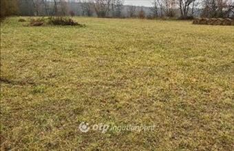 Eladó Budajenői lakóövezeti telek hirdetés (35777224)