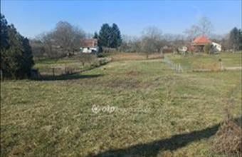 Eladó Nyíregyházai lakóövezeti telek hirdetés (47373545)