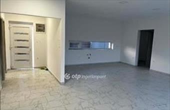 Eladó Albertirsai ikerház hirdetés (77731577)