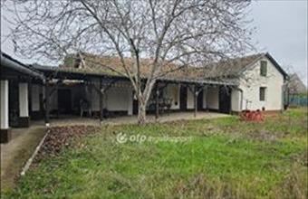 Eladó Cserkeszőlői hétvégi ház hirdetés (38481351)