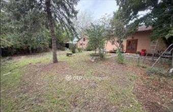 Eladó Tiszakécskei családi ház hirdetés (91779279)