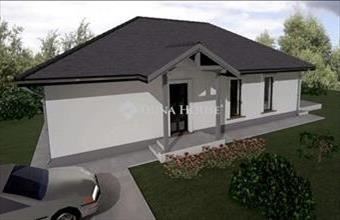 Eladó Tápiósági családi ház hirdetés (72924747)