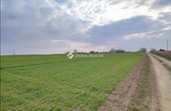 Eladó Tápszentmiklósi lakóövezeti telek hirdetés (97287245)