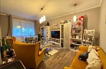 Eladó Gyarmati ikerház hirdetés (41639393)