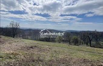 Eladó Balatonszőlősi külterületi telek hirdetés (72433384)