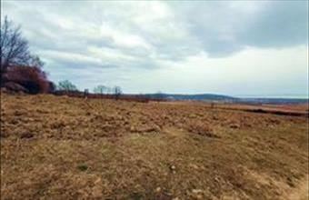 Eladó Balatoncsicsói külterületi telek hirdetés (43449435)