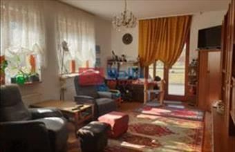 Eladó Szigetszentmiklósi családi ház hirdetés (39915143)