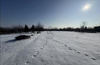 Eladó Bicskei külterületi telek hirdetés (25581288)