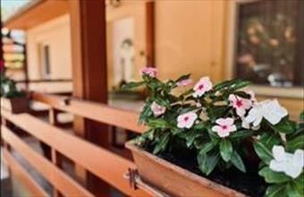 Eladó Zamárdi hétvégi ház hirdetés (45814743)