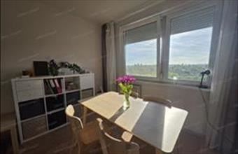 Kiadó Budapest XVIII. kerületi panel lakás hirdetés (44773988)