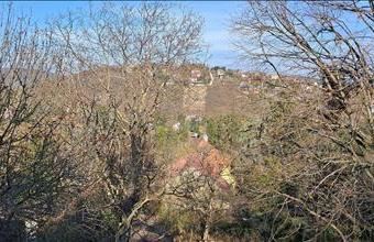 Eladó Budapest II. kerületi lakóövezeti telek hirdetés (98964853)