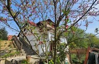 Eladó Kaposvári családi ház hirdetés (77746253)