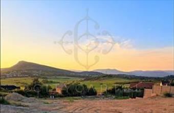 Eladó Ürömi lakóövezeti telek hirdetés (63347255)