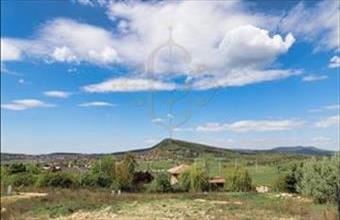 Eladó Ürömi lakóövezeti telek hirdetés (63347255)