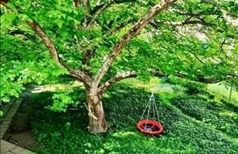 Eladó Budapest III. kerületi tégla lakás hirdetés (67386374)