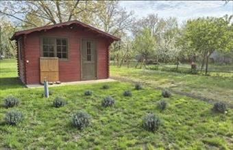 Eladó Békéscsabai egyéb mezőgazdasági ingatlan hirdetés (73398392)