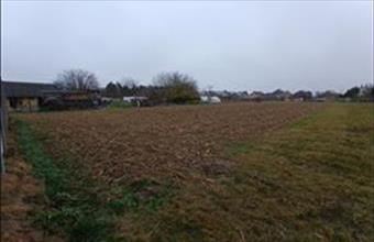 Eladó Dunakiliti lakóövezeti telek hirdetés (75523284)