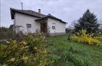 Eladó Tiszaszőlősi családi ház hirdetés (49742334)