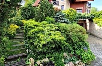 Eladó Budaörsi családi ház hirdetés (33342449)