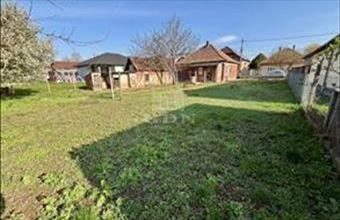 Eladó Maglódi családi ház hirdetés (23528483)