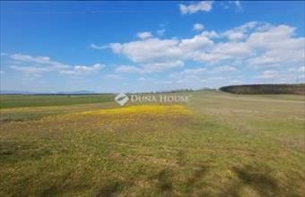 Eladó Fóti külterületi telek hirdetés (44259734)