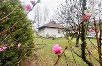 Eladó Cserkeszőlői családi ház hirdetés (73339679)