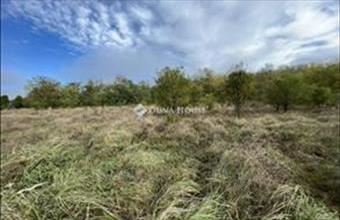 Eladó Csömöri külterületi telek hirdetés (78447574)