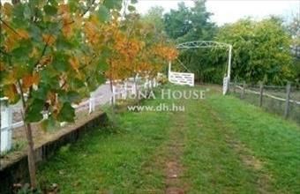 Eladó Kerepesi tanya hirdetés (45452267)