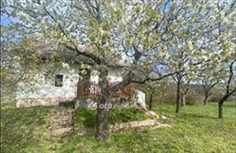 Eladó Sukorói üdülő hirdetés (23449464)