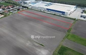 Eladó Pápai egyéb mezőgazdasági ingatlan hirdetés (95794456)