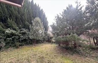 Eladó Nyíregyházai ikerház hirdetés (13436355)