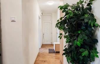 Eladó Salgótarjáni egyéb lakás hirdetés (39479974)