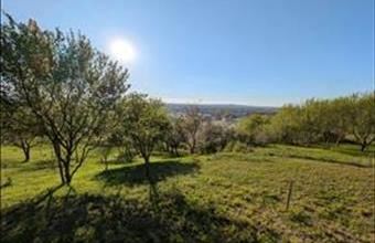 Eladó Esztergomi egyéb telek hirdetés (49933393)