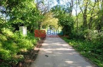 Eladó Badacsonytomaji egyéb telek hirdetés (67444267)