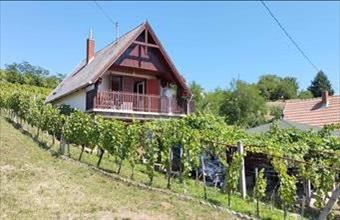 Eladó Somlóvásárhelyi egyéb mezőgazdasági ingatlan hirdetés (35929239)